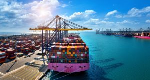 Navigating the Digital Transformation Journey